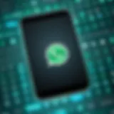 Illustration of WhatsApp's One Time View Photo interface
