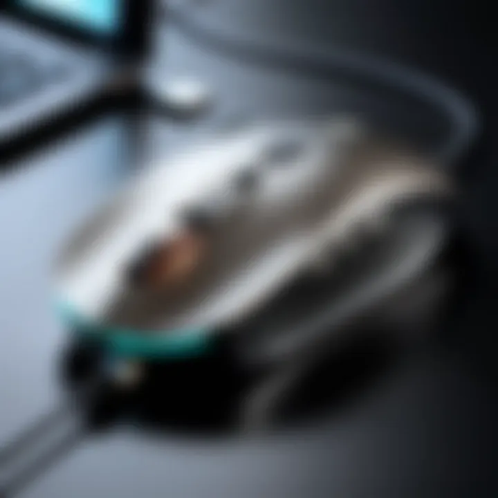 Close-up of a USB receiver for wireless gaming mice