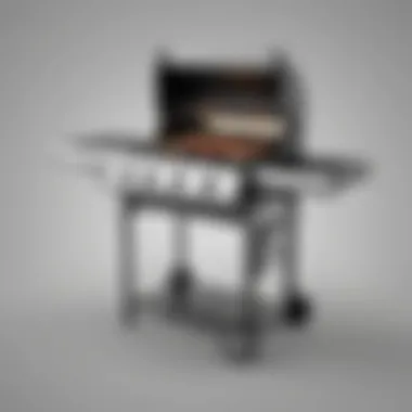 Versatile grill with customizable cooking options