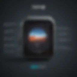 Professional video editing software interface for GoPro 9