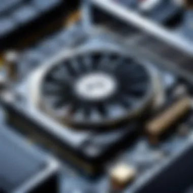 Market Analysis of XFX Video Cards Market analysis of XFX video cards